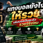 แทงบอลยังไงให้รวย